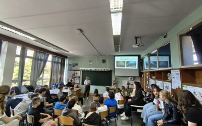 Od otpada do suvenira: kako su naši šestaši postali čuvari okoliša